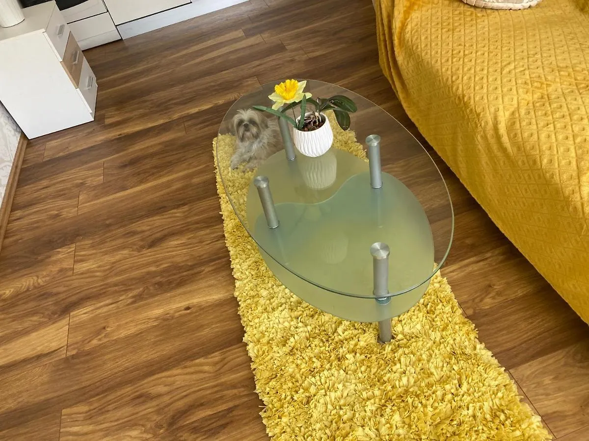 Iva Apartment Split 0*,